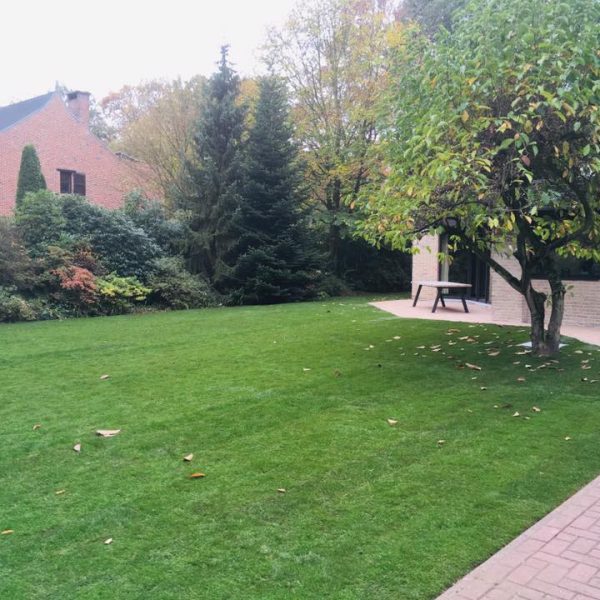 tuin